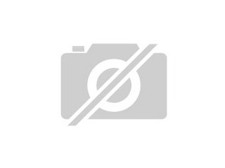 Suche Sponsor für 2er Pferdeanhänger
